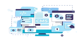 cms-development